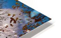 Lost Leaves NYC HD Metal print