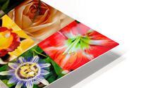 Flowers HD Metal print