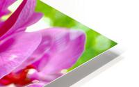 Orchid 8 NYC HD Metal print