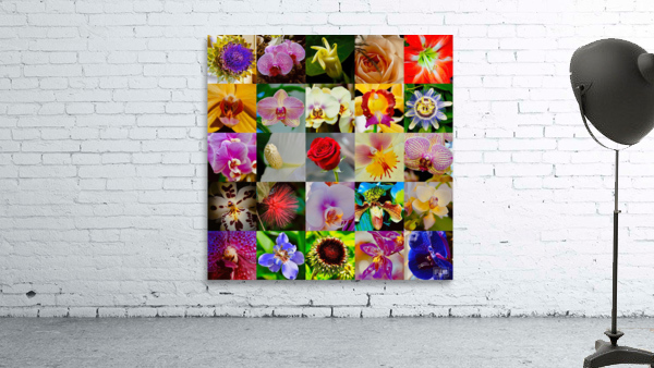 Flowers Wall Preview