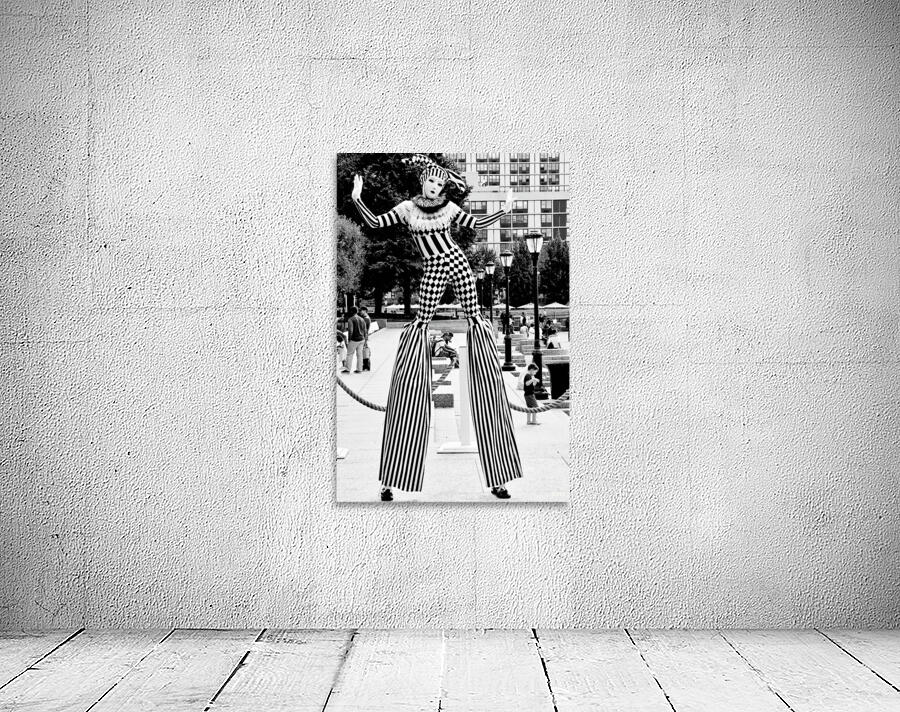 Harlequin 6 NYC Wall Preview
