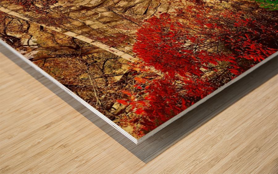 Gapstow Bridge NYC Wood print