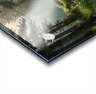 design should Acrylic print