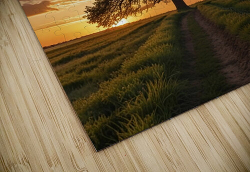 Golden Path Wall Art rihab bahammou puzzle