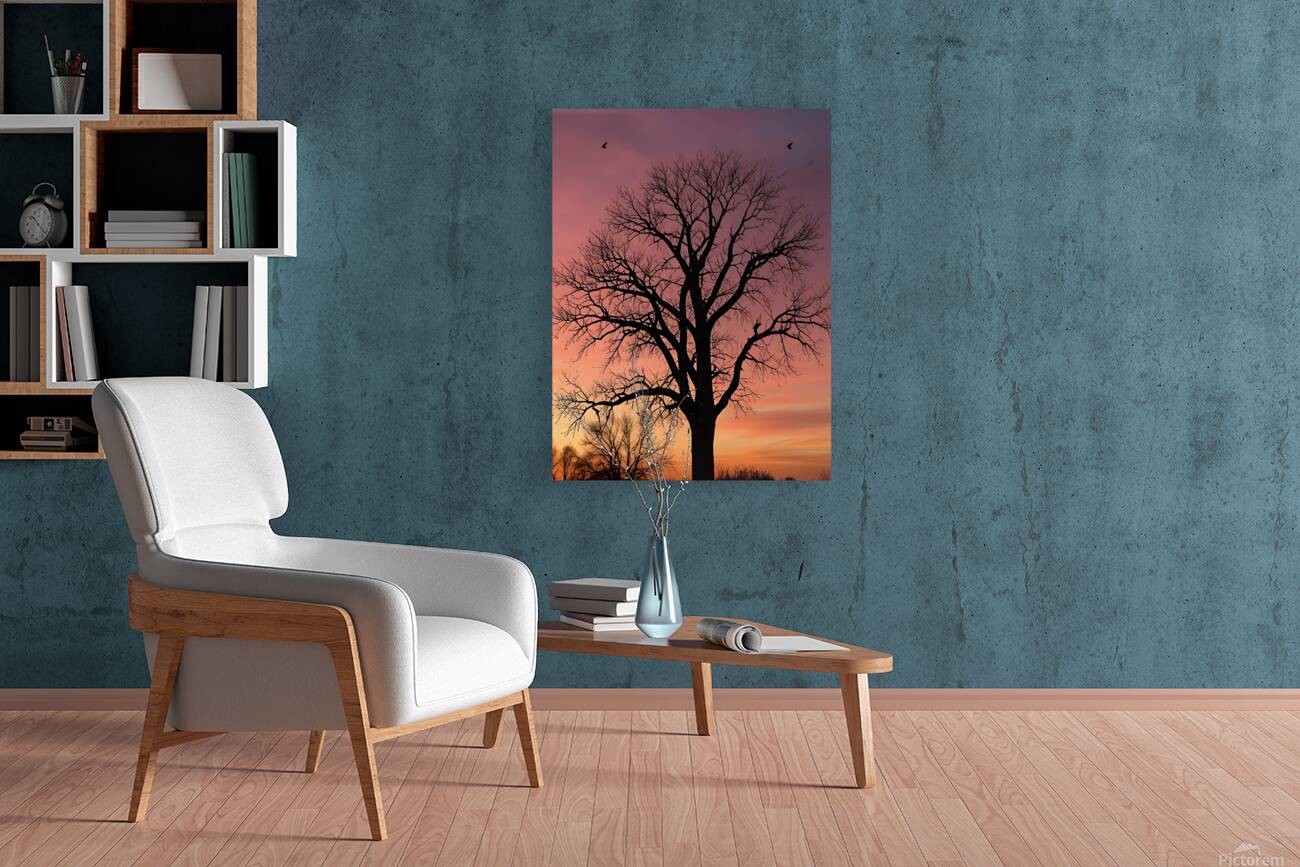 Silhouetted Serenity - Tree at Sunset Reproduction