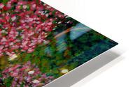 Cherry Blossoms HD Metal print