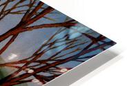 Covered bridge winter skaters HD Metal print