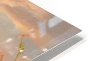 Autumn Meadow Splendor HD Metal print