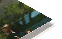 Tranquil Swans Reflection HD Metal print