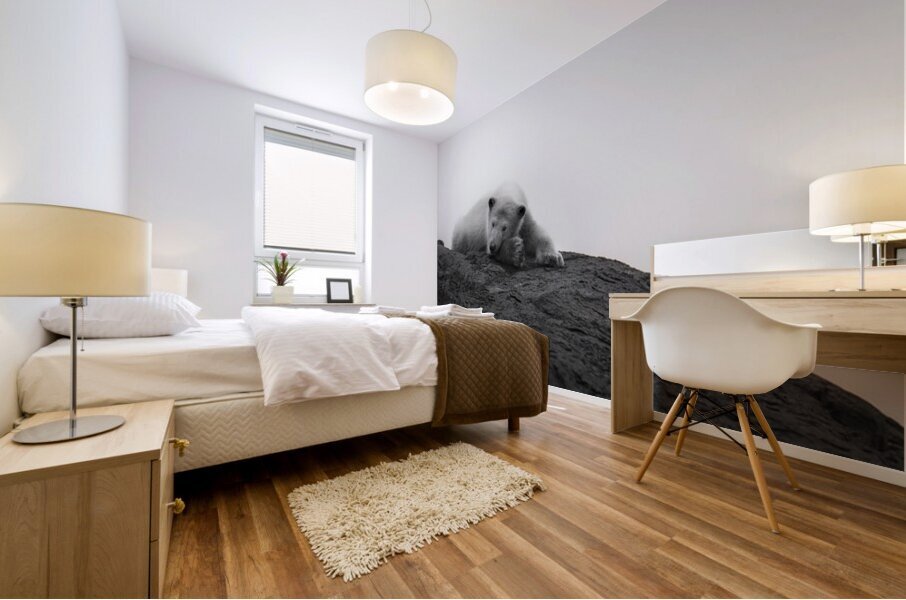 Arctic Dreams Mural print