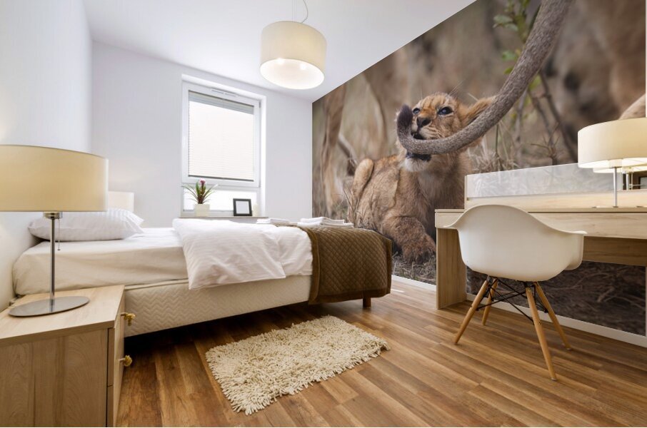  Got Your Tail  Mural print