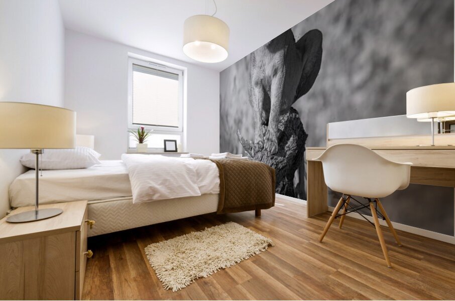 Power Pose Mural print