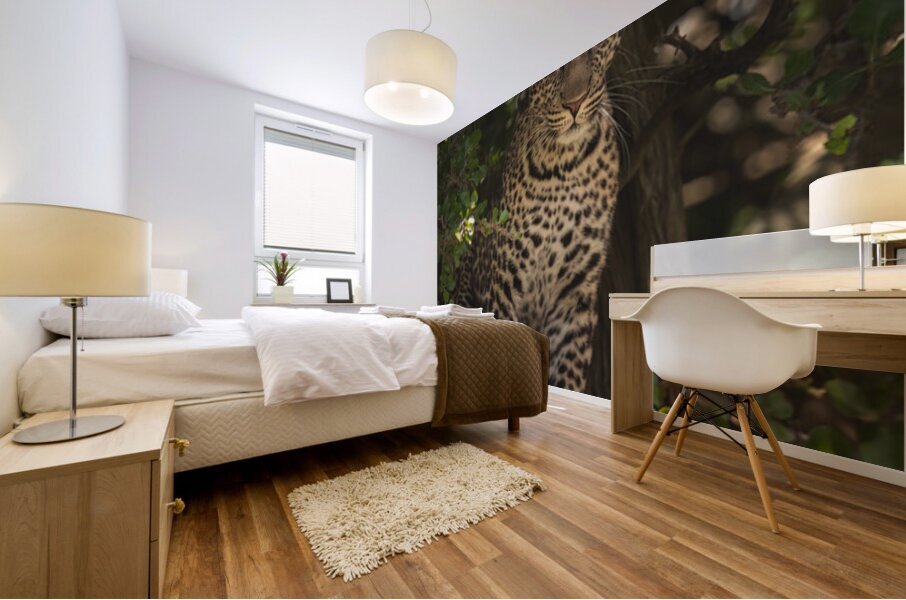 Stealth Mode Mural print