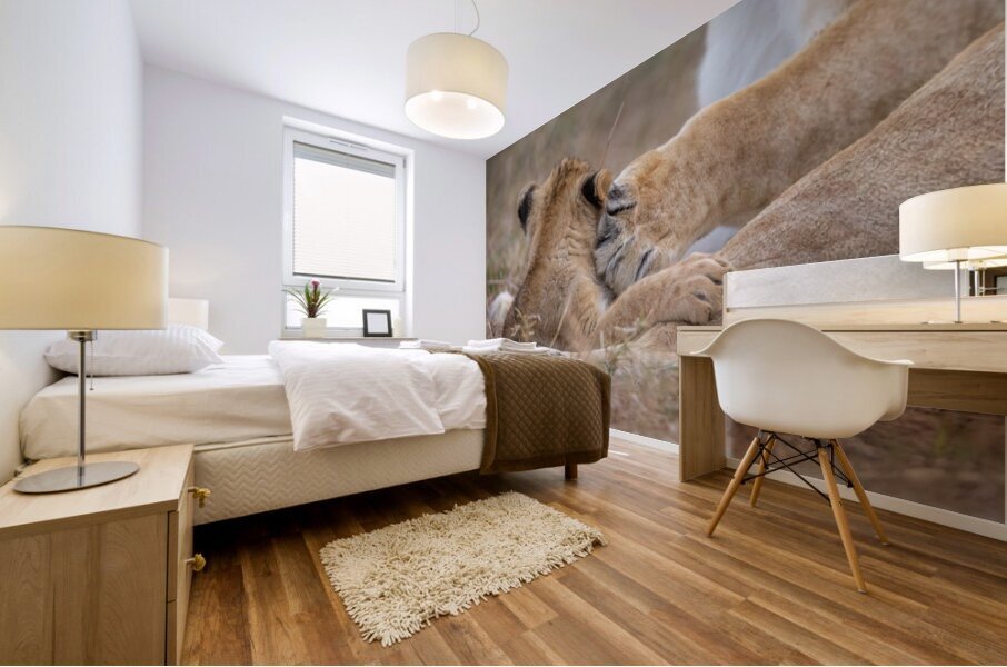 Shhh Nap Time Mural print