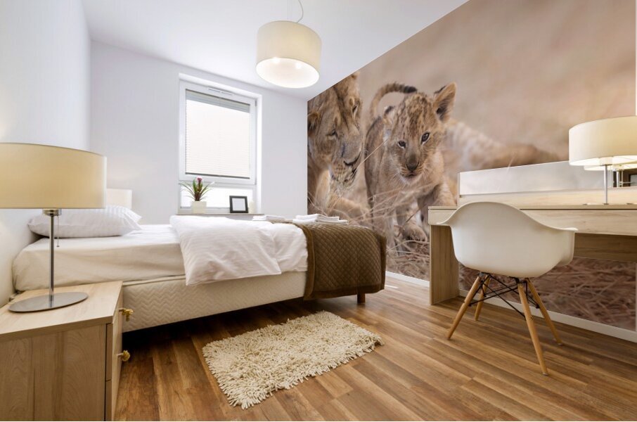 Bold from Birth Mural print