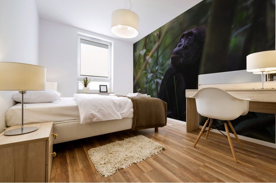 Silent Wisdom Mural print