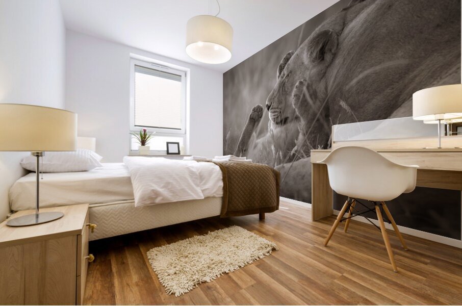 Paws Up   Mural print