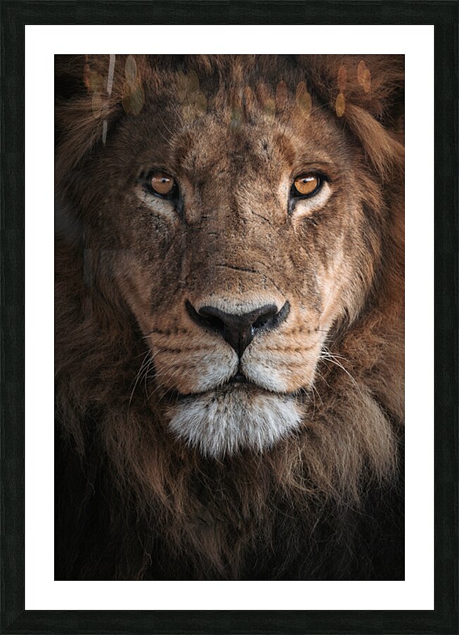 The pride sentinel  Picture Frame print