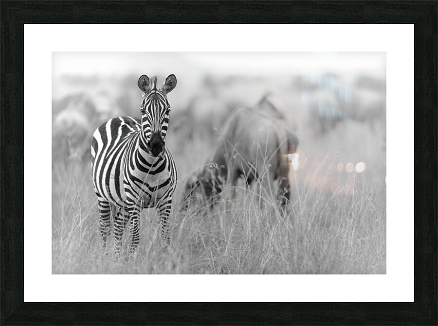 Standing Out Picture Frame print