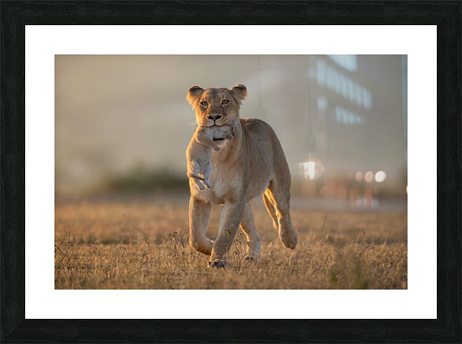 Tough Love Picture Frame print