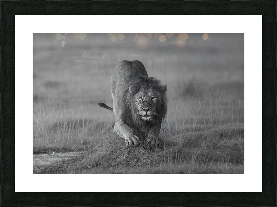  Locked on Target Picture Frame print