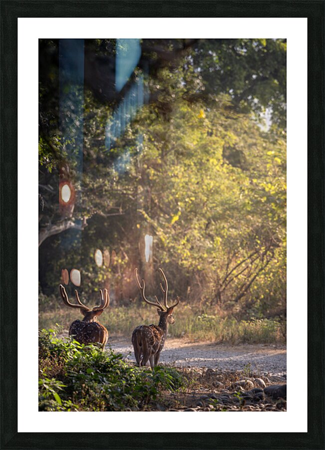  Twilight Companions Picture Frame print