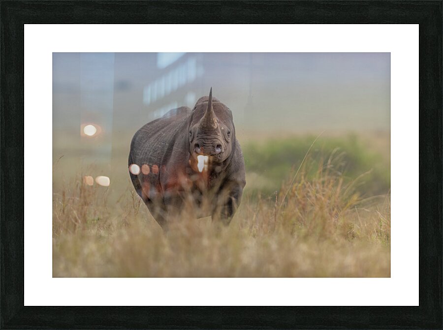 Headstrong Picture Frame print