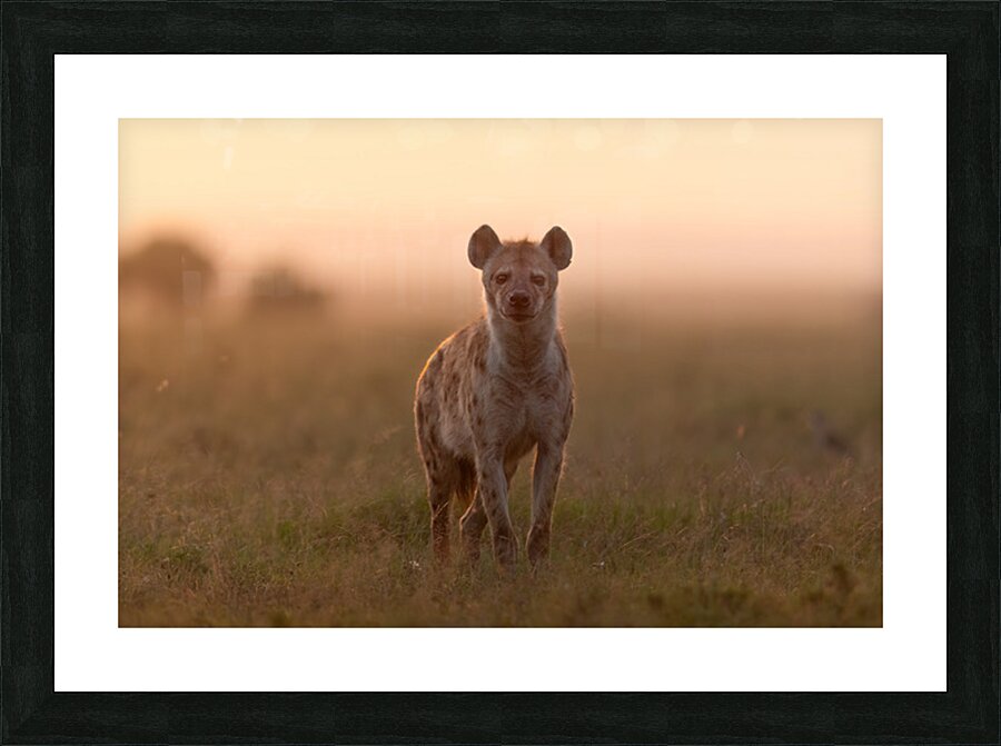  Twilight Standoff Picture Frame print