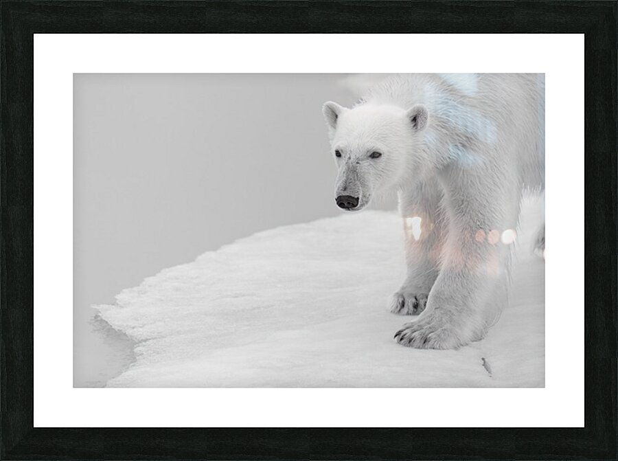  Staring Into the Silence Picture Frame print
