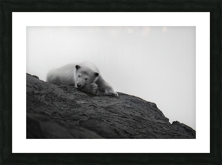 Arctic Dreams Picture Frame print