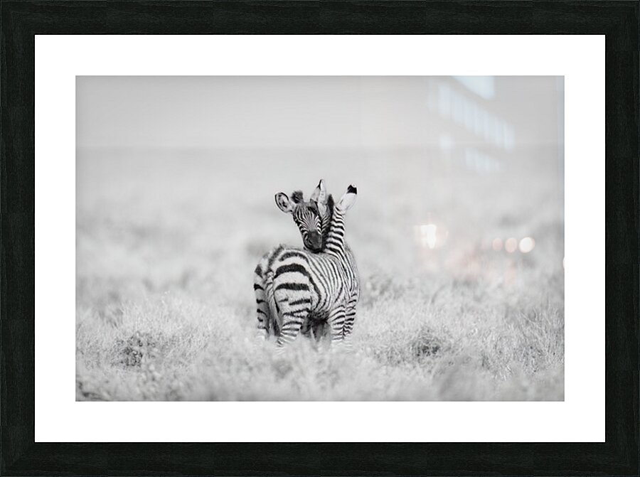 Side by Side Picture Frame print