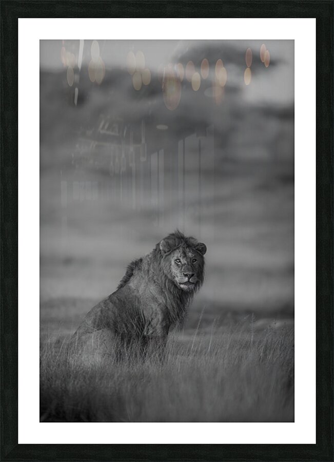 Noble Pause B&W Picture Frame print