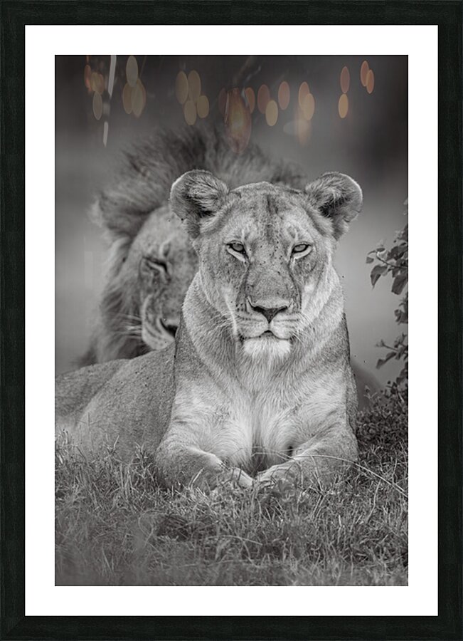 In Her Reign Picture Frame print