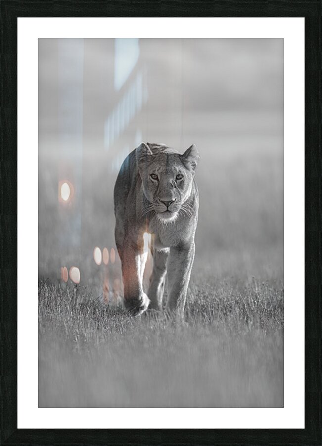 Approaching Majesty Picture Frame print