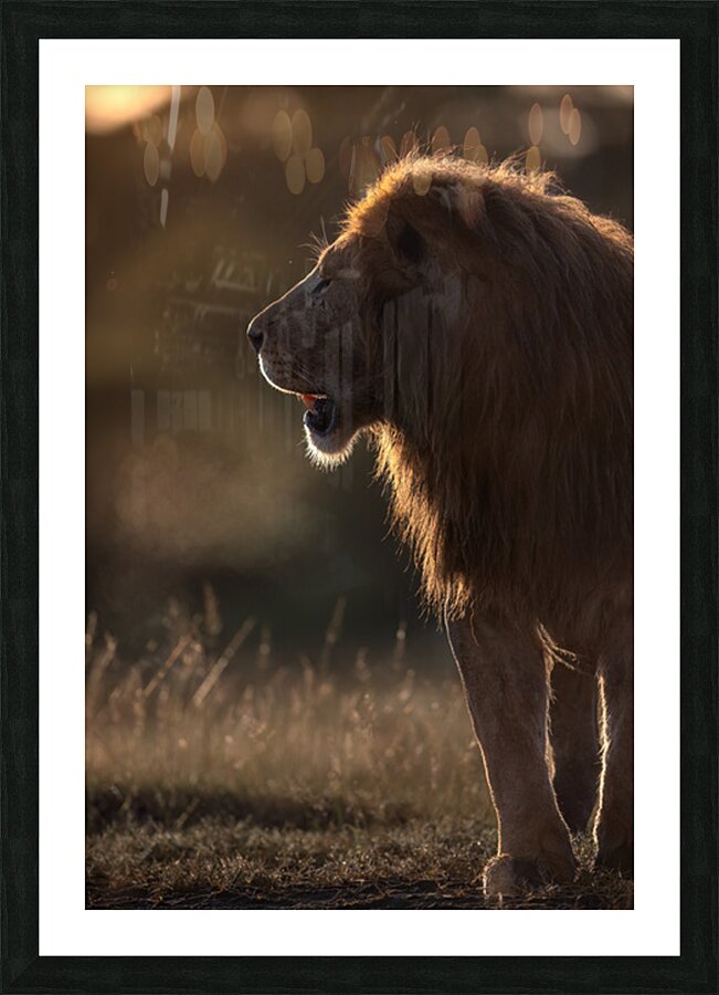 Silent Authority Picture Frame print