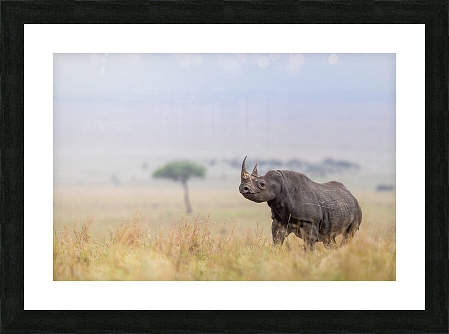Strength in Solitude Picture Frame print