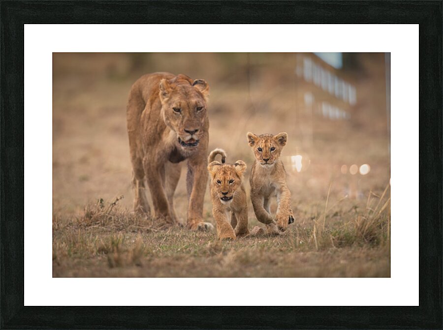 Guided by Her Picture Frame print