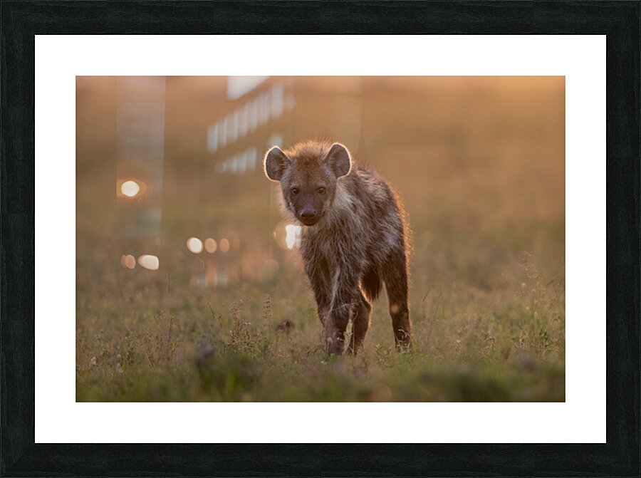 Ready for Trouble Picture Frame print