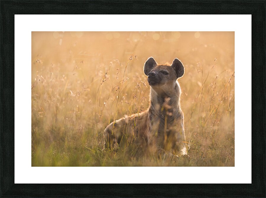 Hyena Glow-Up Picture Frame print