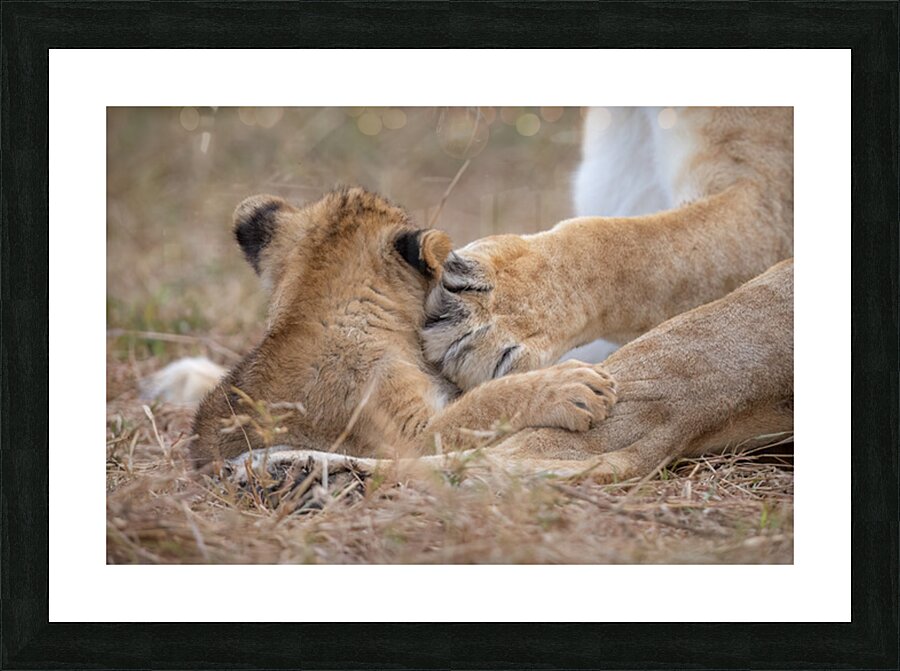 Shhh Nap Time Picture Frame print