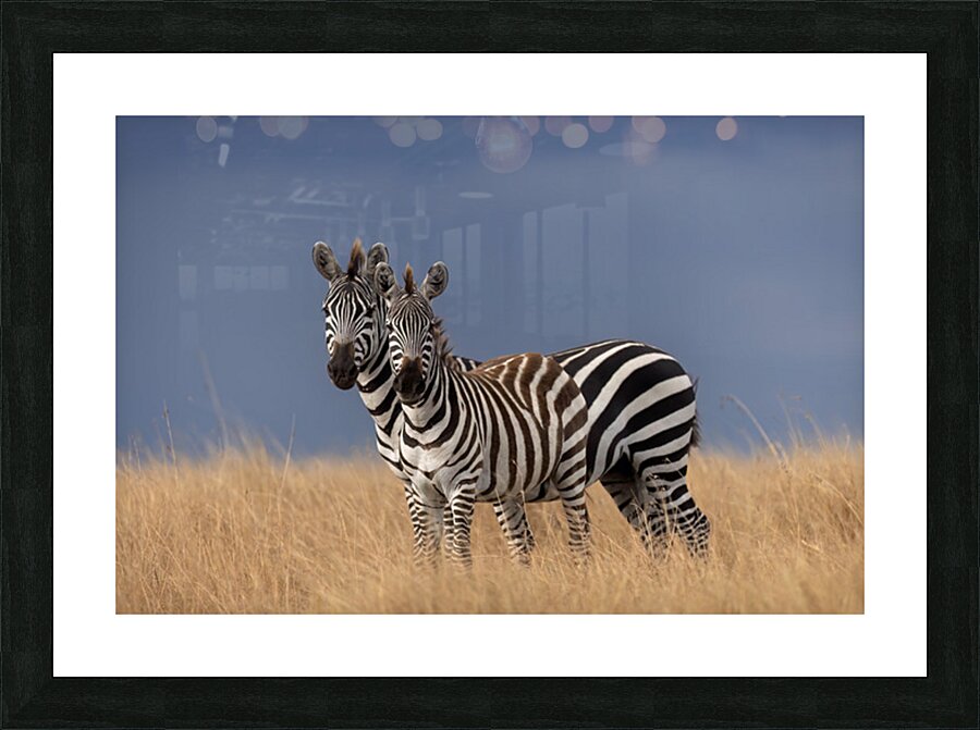 Seeing Double Picture Frame print