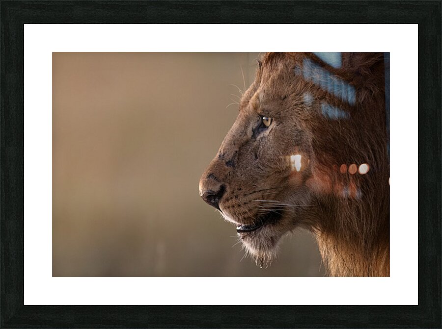 Scarface 2.0 Picture Frame print