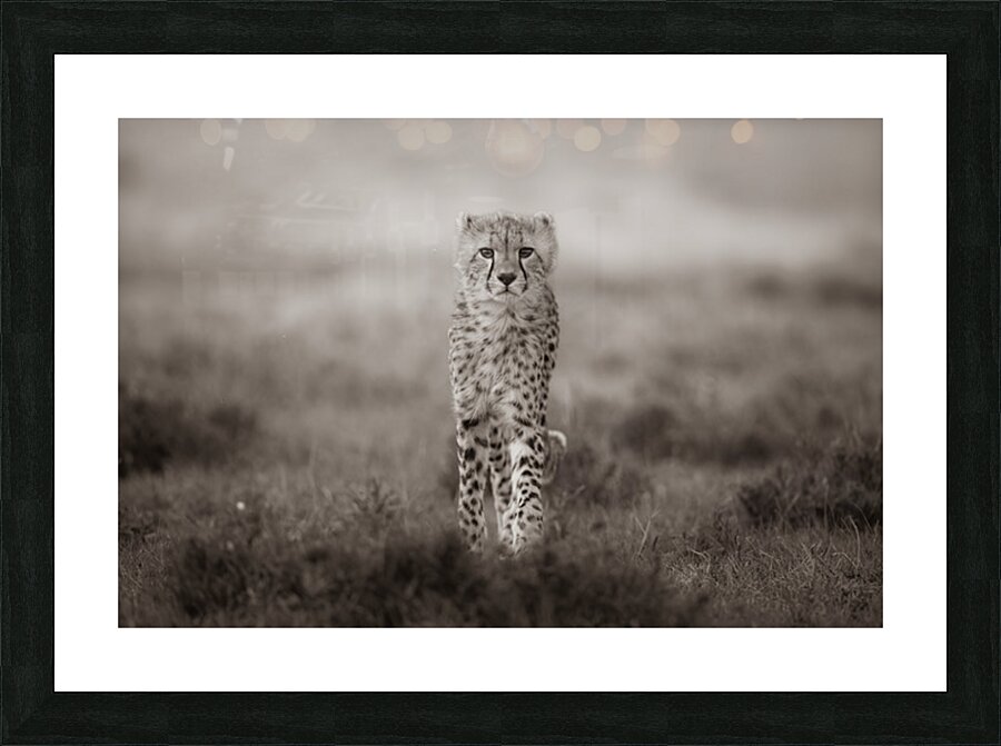 Spotted Elegance 2.0 Picture Frame print
