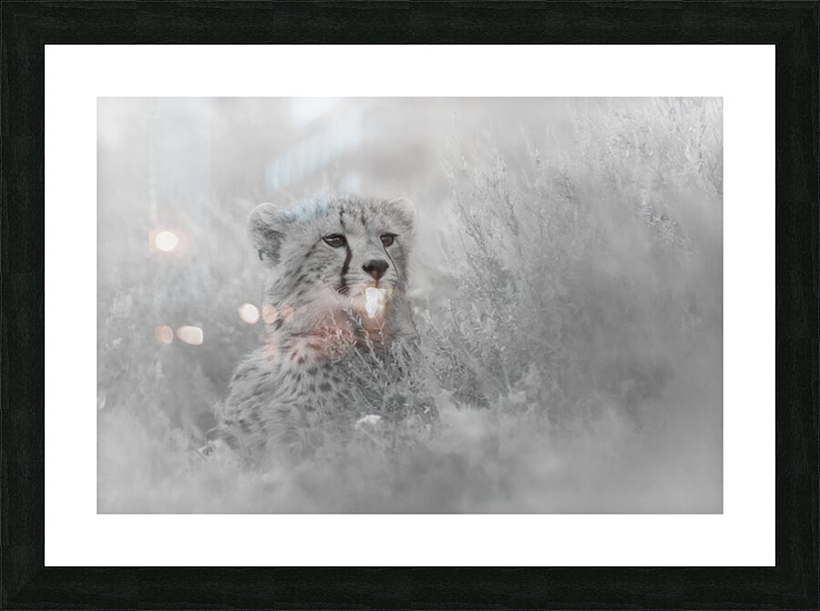 Born to Bolt Picture Frame print