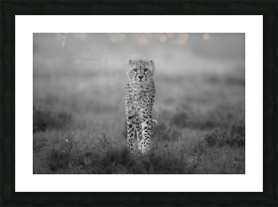 Spotted Elegance Picture Frame print