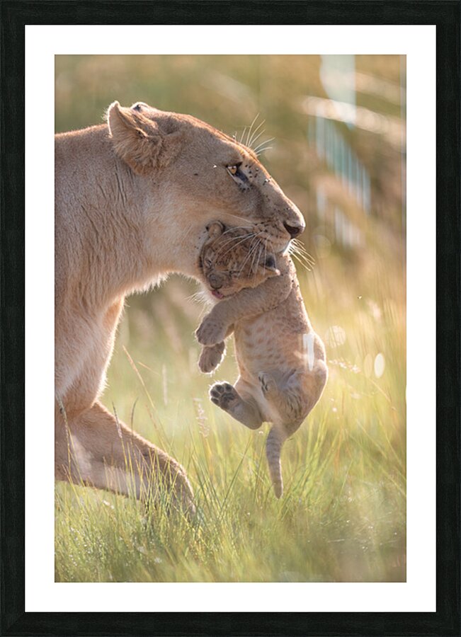 Bite-Sized Love Picture Frame print