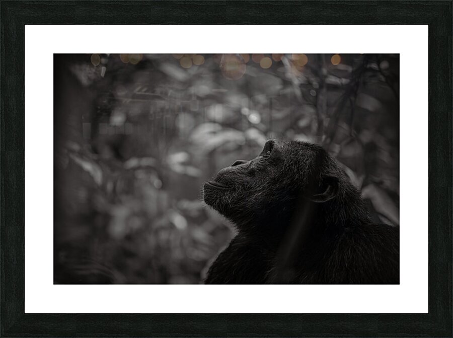 Timeless Thought Picture Frame print