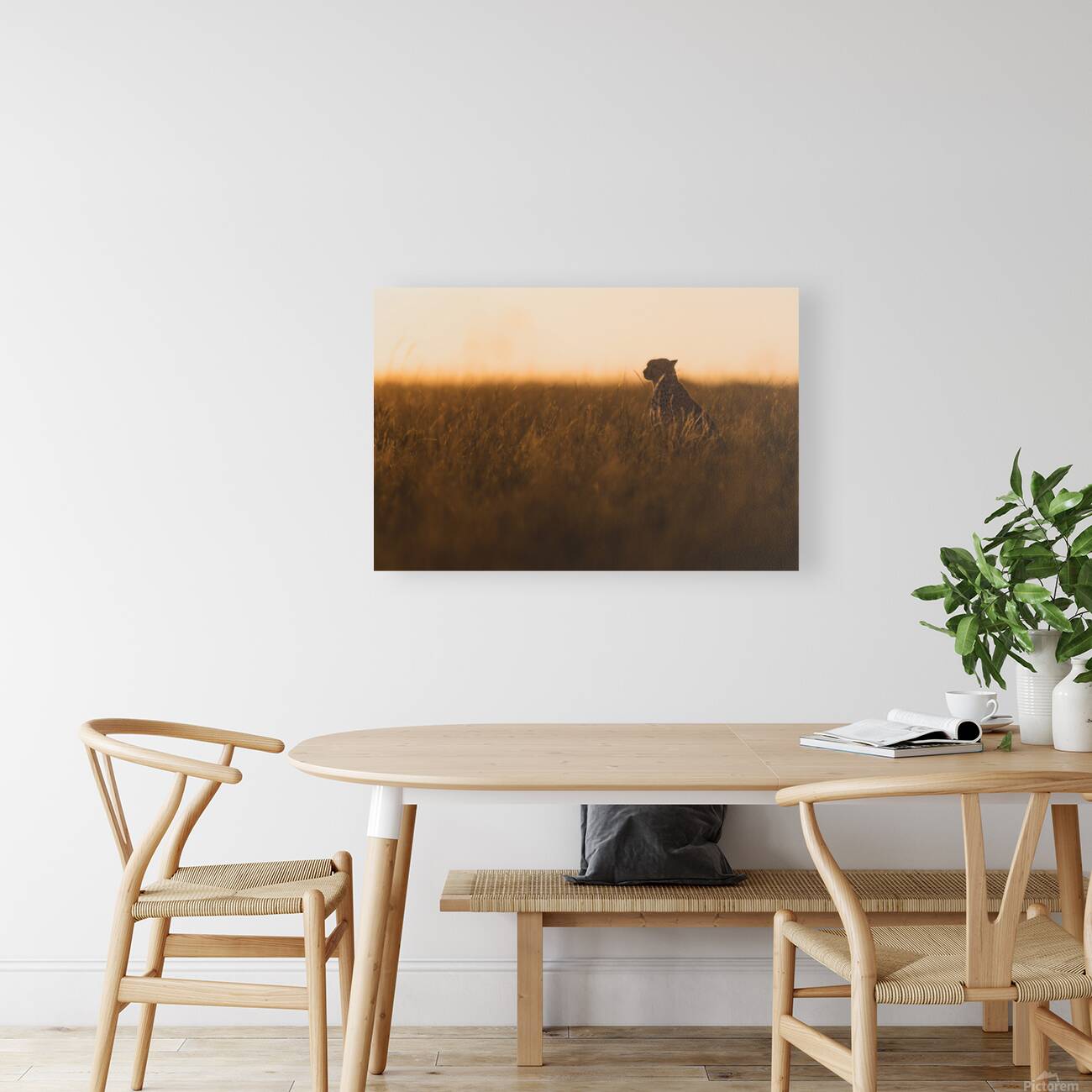 Cheetah’s Evening Watch Reproduction
