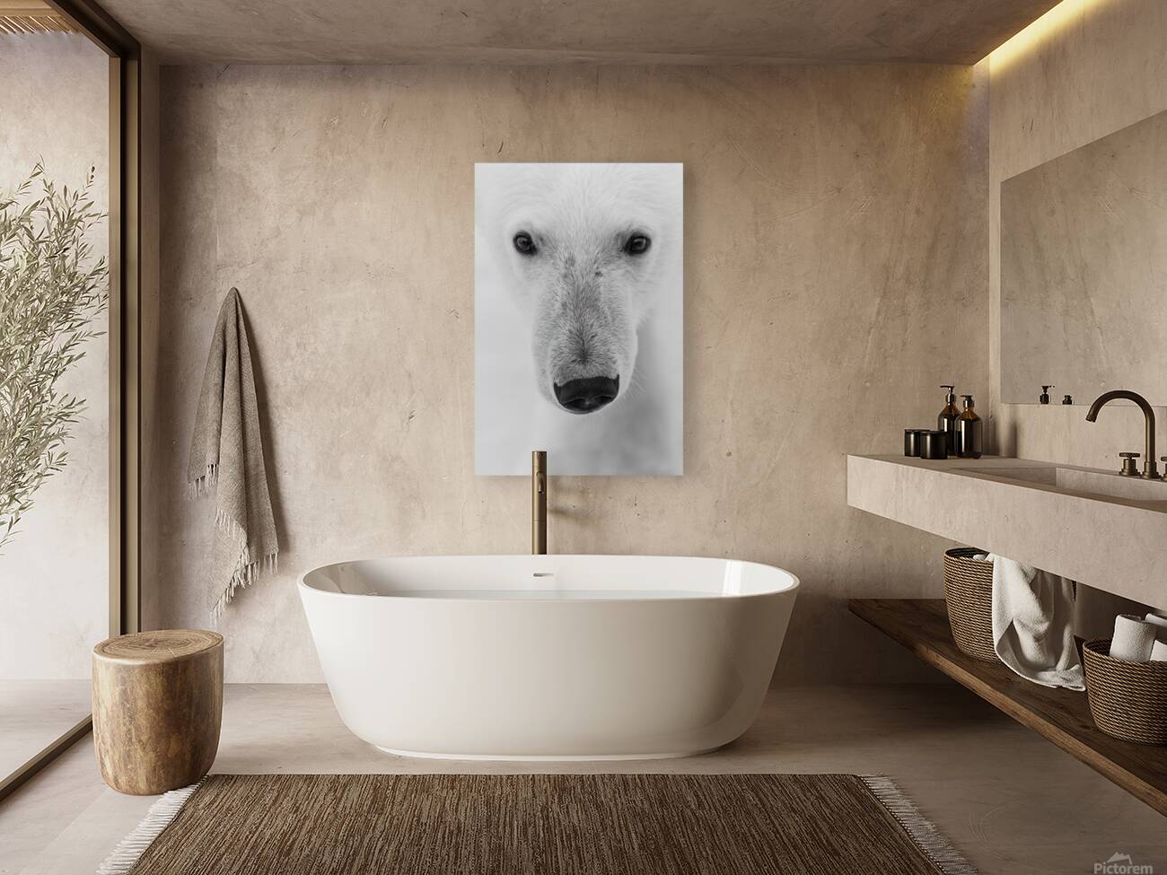 Frozen Gaze Reproduction