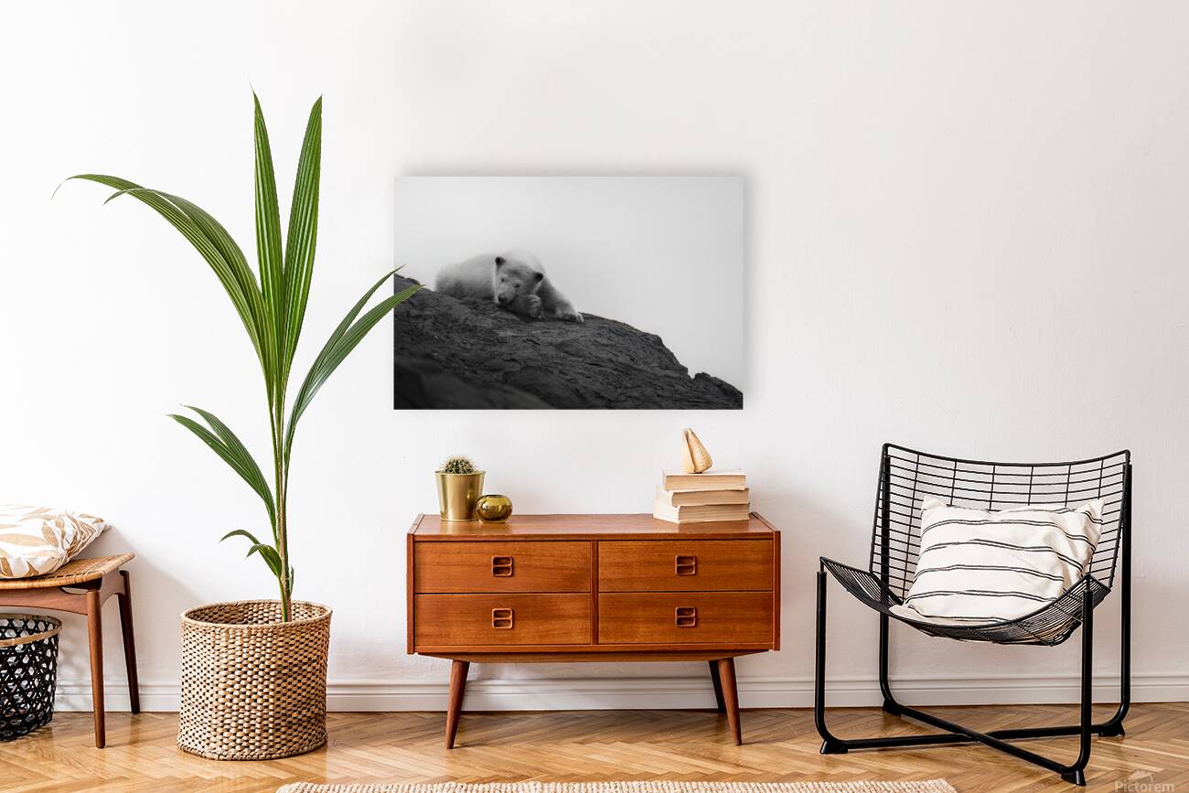 Arctic Dreams Reproduction
